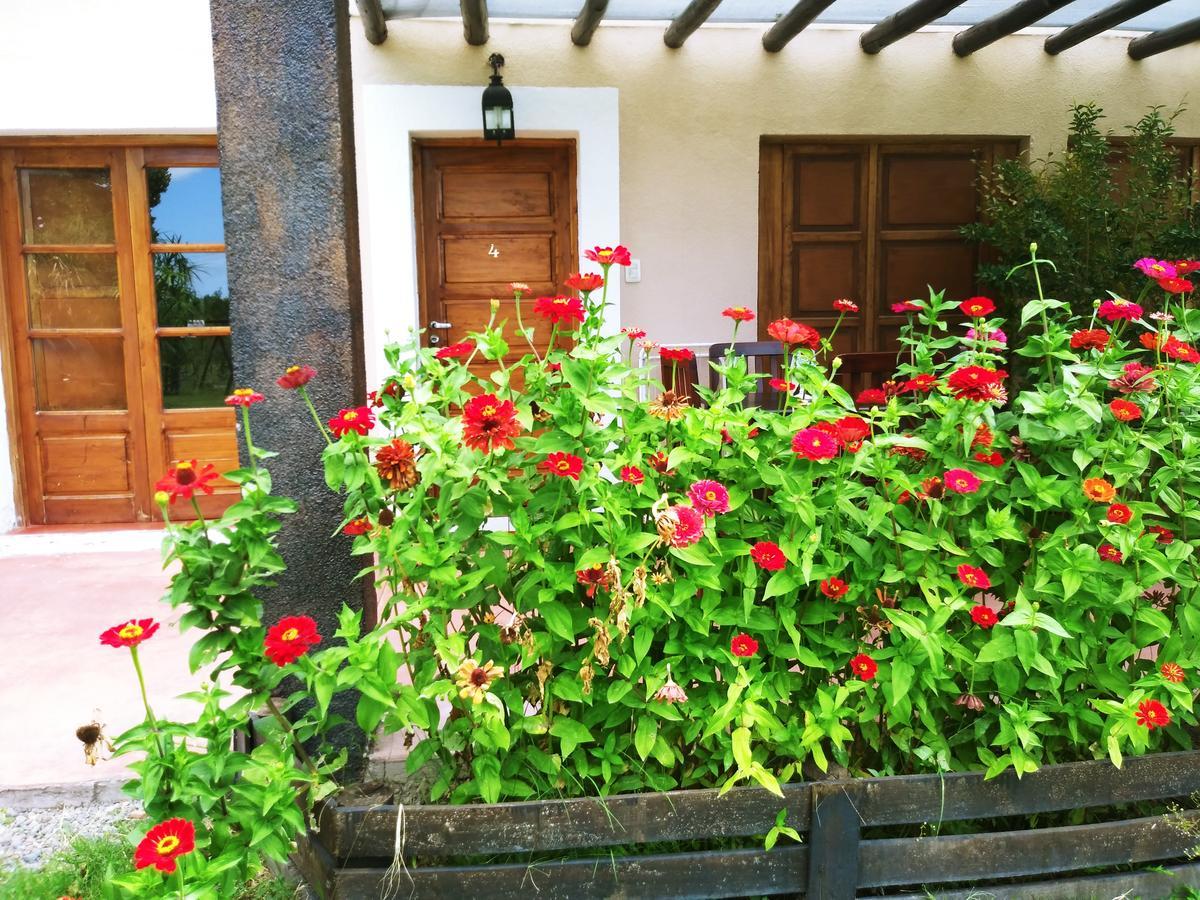Finca Los Almendros Hotel Tunuyán Exterior foto